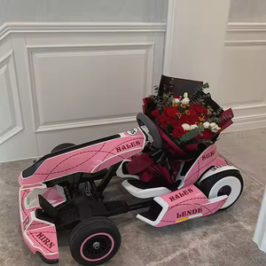 <span class=keywords><strong>Ninebot</strong></span> Original personalizado interior y exterior Parque de Atracciones pista eléctrica Go <span class=keywords><strong>Kart</strong></span> Pro para niños y adultos - Product Image 1