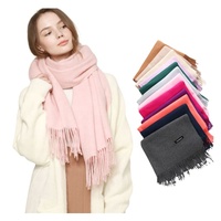 OEM Großhandel benutzer definierte Logo reine Farbe weiche lange Quaste Fransen Twill warmen Schal Mode Winter Frauen Kaschmir Schal