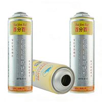 Bombe aérosol 100ml/200ml/300ml/500ml/1000ml pour laque capillaire – Format petit/grand – Boîte de conserve pour laque capillaire