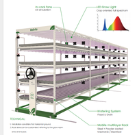 Système de culture hydroponique Reinfa GreenWave Solution verticale clé en main pour les microgreens à croissance rapide