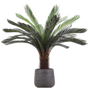 Planta Artificial de Cícada Bonsái, Alta Simulación, Decoración Interior para Hogar y Oficina, Estilo Palmera, Maceta Negra, Varios Tamaños - Product Image 3