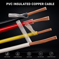 Cable Eléctrico THHN THW THWN-2 10AWG con Conductor de Cobre, Aislamiento de PVC y Revestimiento de Nailon, Estándar Americano para Equipos Eléctricos