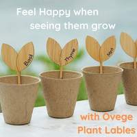 Étiquettes de plantes de pépinière de bricolage industrielles étiquettes de jardin de forme chaude avec stylo marqueur pour graines herbes en pot fleurs légumes