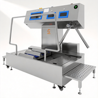Tourniquet d'hygiène automatique SUS304 avec station de lavage et de désinfection des mains et des bottes certifiée CE pour l'entrée des ateliers de transformation de viande