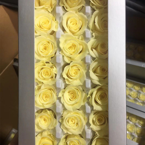 Cabeza <span class=keywords><strong>de</strong></span> Rosa Preservada <span class=keywords><strong>de</strong></span> Alta Calidad <span class=keywords><strong>de</strong></span> 2-3 cm, Flor Eterna Natural <span class=keywords><strong>de</strong></span> Yunnan en Venta - Product Image 5