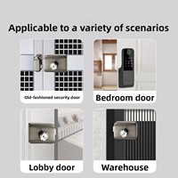 Serrure intelligente biométrique à double face étanche avec empreinte digitale Tuya WiFi pour serrure électronique de jante TTlock, pour porte en aluminium, en fer ou en métal
