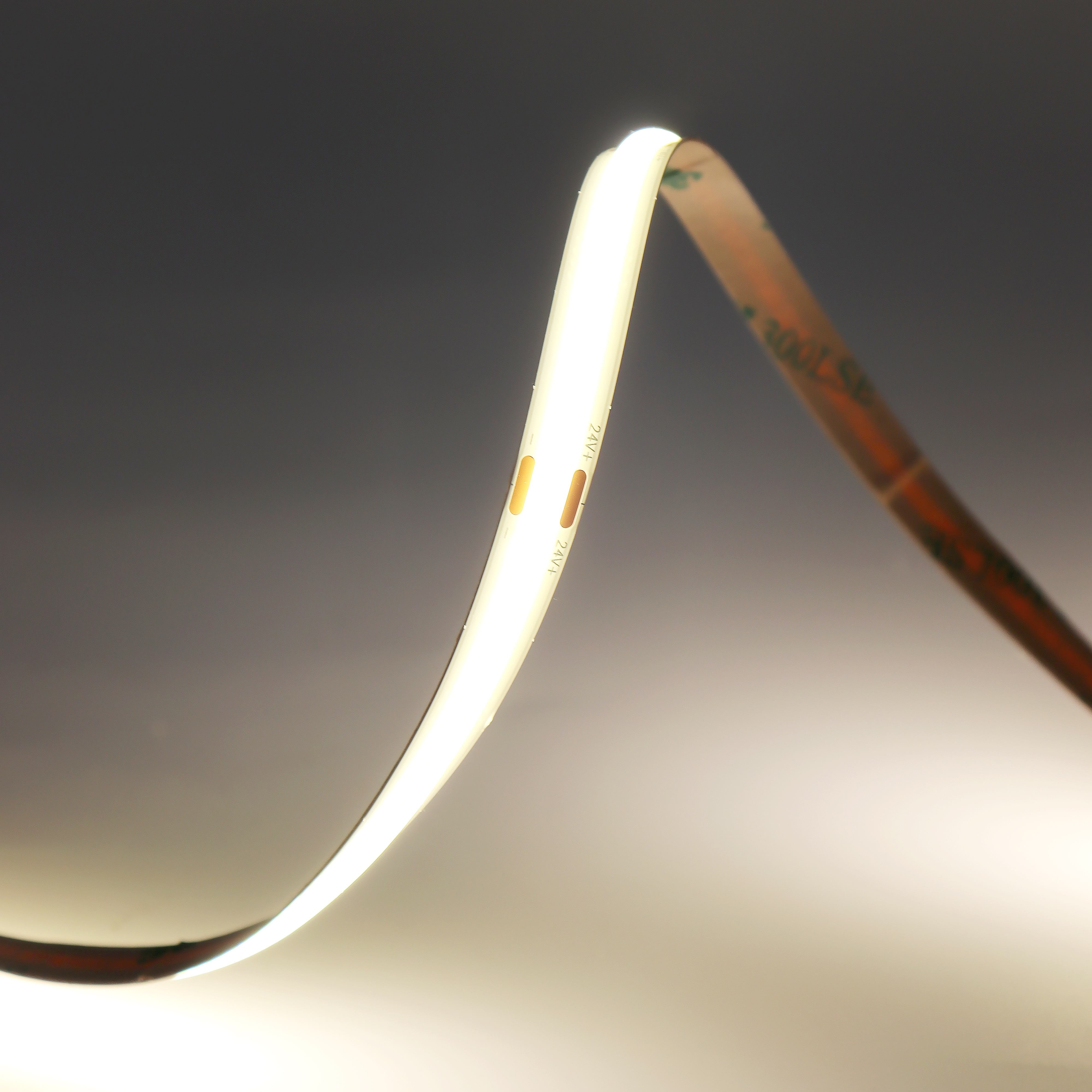 ธรรมชาติสีขาว