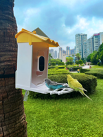 Mangeoire à oiseaux intelligente AI avec caméra Station d'observation des oiseaux WiFi extérieure à énergie solaire avec application d'enregistrement vidéo pour le jardin