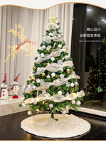 Kit de décoration de Noël transfrontalier Moonlight : Ornement lumineux DIY en PVC grand format haut de gamme pour la maison
