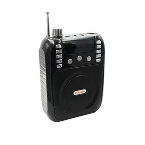 Mini altavoz portátil multifuncional de Voz digital de audio de enseñanza amplificador