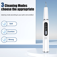 Kit de Nettoyage Dentaire Ultrasonique Rechargeable de Luxe pour Animaux de Compagnie, en ABS, pour Chiens et Chats, Élimination du Tartre et de la Plaque Dentaire, Étanche