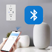 Prise murale intelligente Zigbee WiFi avec port USB, résistante aux manipulations, 2 prises CA, port USB, prise de courant intelligente pour la maison, double tension
