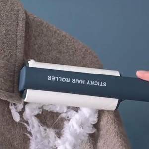 Rouleau anti-peluches amovible pour vêtements avec boucle étui anti-poussière pour poils d'animaux vêtements tapis tousle - Product Image 2
