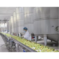 Commerciële Productielijn Appelcider Fruit Azijn Voor Azijn Plant Prijs