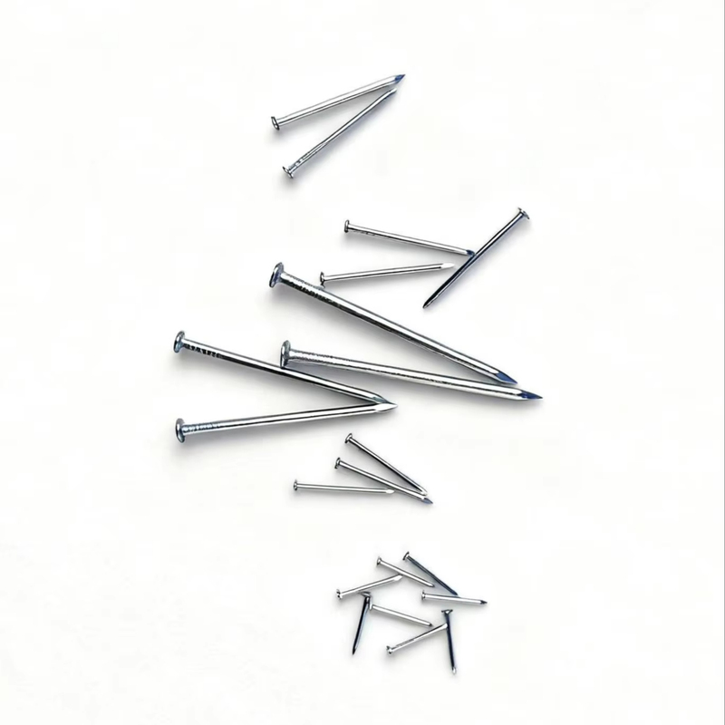 Nail Assortment Polished Steel Common Wire