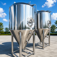Fermenteur de 1000 L pour brasserie et pub