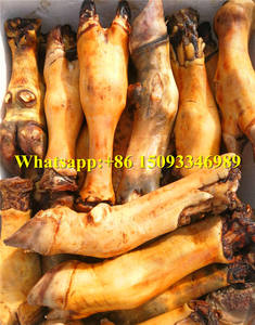 Máquina de depilación de cabeza de cabra y oveja, equipo de depilación de cerdo frescos de pies, máquina de depilación de escarificación - Product Image 6