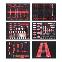 Ensemble d'outils de mécanicien professionnel de 252 pièces avec 6 plateaux en mousse EVA, organisateur de rangement pour tiroirs à outils pour garage