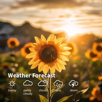 Nouvelle station météo portable sans fil avec écran tactile LCD, baromètre, hygromètre, thermomètre domestique, certifiée IP65, en plastique OEM