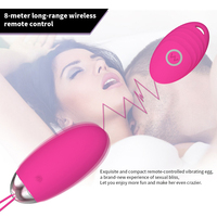Meistverkaufter Ferngesteuerter Vibrator Weiblicher Massagestab USB Aufladbar 10 Geschwindigkeiten Tragbar Wasserdicht Geräuscharm Sexspielzeug