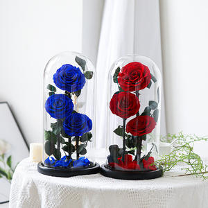 Oses-Flor preservada eterna de <span class=keywords><strong>China</strong></span>, flor preservada de belleza al por mayor en cúpula de cristal - Product Image 6