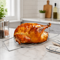Support de cuisson pour dinde en acier inoxydable, pour barbecue extérieur et usage en cuisine, imperméable et antiadhésif