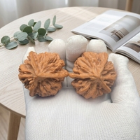 Noix à trois pans standard à motif écaille de dragon