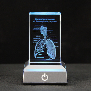 Bác sĩ của lưu niệm cơ quan con người hệ thống hô hấp mô hình hiển thị tinh thể 3D laser khắc Glass cube bán buôn - Product Image 4
