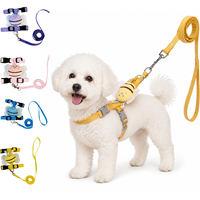 Ensemble Harnais et Laisse pour Animaux de Compagnie OEM Personnalisé, Motif Abeille Mignonne, Décoration en Peluche 3D, Nylon Réglable, Couleur Personnalisée pour Marques d'Animaux, Vente en Gros