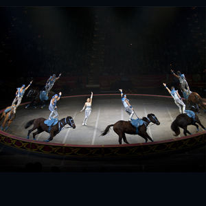 Estructura de Truss para Carpa de Circo, Carpa de Carnaval, Trapecio, Marquesina, Parque de Atracciones Familiar, Estructura de Circo - Product Image 2