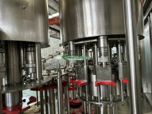 Machine de filtration et de remplissage d'eau à base de vitamines Pure, déshabillé, en bouteille, pour Production de plante, minérale Pure, japon - Product Image 6