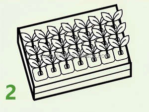 Menara hidroponik standar Eropa 9 lapisan | Sistem penumbuh pertanian vertikal untuk selada, sayuran, rempah, penggunaan dalam ruangan luar ruangan - Product Image 6