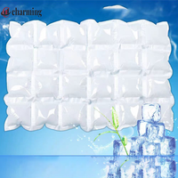 Sacs de glace en gel sec réutilisables personnalisés, longue durée, pour aliments et boissons, avec logo