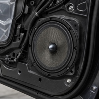 Haut-parleur de porte de voiture 8 pouces avec woofer pour audio automobile 12V 4 Ohms, approvisionnement en gros, MOQ 500 pièces