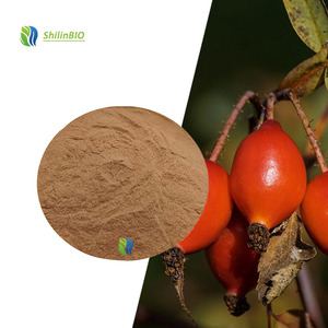 SLBIO fournit <span class=keywords><strong>de</strong></span> l'extrait naturel <span class=keywords><strong>de</strong></span> cynorrhodon, poudre <span class=keywords><strong>de</strong></span> cynorrhodon, 17% 25% <span class=keywords><strong>de</strong></span> vitamine C - Product Image 3