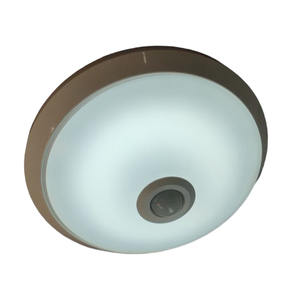 Pir Sensor <span class=keywords><strong>Sylvania</strong></span> Indoor Led Plafondlamp Ip20 Waterdicht Modern Creatief Gangpad Corridor Ronde Plafondverlichting - Product Image 1