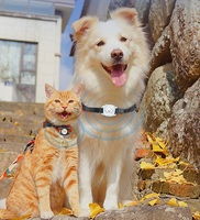Mini traceur GPS rechargeable pour animaux de compagnie, traceur GPS pour chien et chat, positionnement en temps réel, collier portable anti-perte