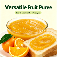 Lotlong Premium Natuurlijke Gesteriliseerde Sinaasappelpuree in Doos voor Fruitthee & Smoothie Shops - Klaar voor Gebruik