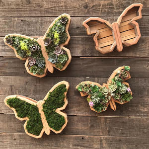 Maceta de Madera con Forma de Animal para Suculentas y Plantas, Diseño Moderno y Simple, Maceta para Micropaisajes - Product Image 1