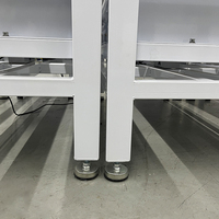 Balance à rouleaux de convoyeur de haute qualité de 300kg en acier inoxydable avec indicateur LCD et peseuse de contrôle d'imprimante