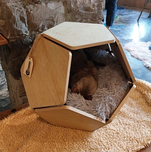 Nuevo diseño, cueva geométrica desmontable para mascotas, muebles de madera para mascotas para perros, gatos, jaula de madera de pino - Product Image 1