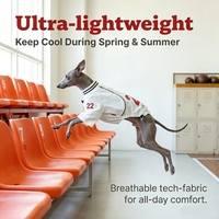 Vêtements d'été rétro légers et respirants pour animaux de compagnie, vêtements de sport pour petites et moyennes races, vente en gros, logo personnalisé, OEM, ODM, maillot de football pour chien
