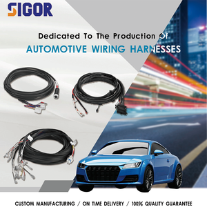 Sigor OEM ODM RV สายรัดประกอบสายเคเบิลตัวนำชุบเงิน PVC ตัวเชื่อมต่อยานยนต์ตามสั่ง - Product Image 2