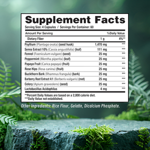 Capsules de nettoyage du côlon les plus vendues, contiennent du psyllium avec de la menthe poivrée, favorisent les mouvements intestinaux, capsules de désintoxication pour adultes - Product Image 2