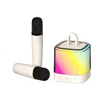 Système Karaoké Sans Fil Personnalisé 5.1 avec Batterie 1000-2000mAh, Portable pour Usage Domestique et Extérieur, Éclairage Ambiant RGB Tout-en-un