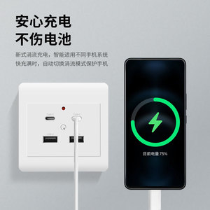 86 Type Surface Mounted Charging Socket Type C <b>USB</b> Fast Charging Multi Port <b>Wall</b> <b>Plug</b> Universal Plastic Pure Copper - Product Image 4