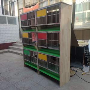 Gabbia di allevamento piccione in legno di alta qualità in acciaio inox accessori per piccioni - Product Image 3