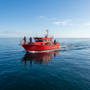 Vente directe d'usine : <span class=keywords><strong>Bateau</strong></span> de travail en alliage d'aluminium de 42 pieds avec cuisine et cabine pour le tourisme de loisirs et le transport de passagers - Product Image 2