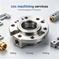 Pièces usinées CNC sur mesure en acier inoxydable et alliage d'aluminium, finition mate ±0,001 mm pour instruments et dispositifs, pièces usinées OEM