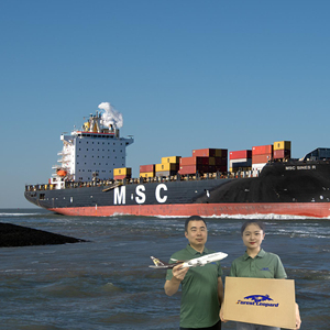 Transporteur Ddp vers les États-Unis, le Canada, la Chine, par voie maritime vers la France, l'Allemagne, FBA, expédition de marchandises vers le Royaume-Uni, taux bon marché sur Amazon - Product Image 6